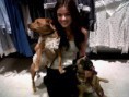 /album/photogallery/lucy-hale-august-6-charlotte-russe-store-opening-pet-adopt-a-thon-lucy-hale-14549916-600-450-jpg1/